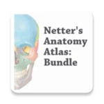 anatomy atlas, usmle, clinical android application logo